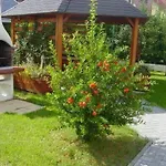 Veronika 4*