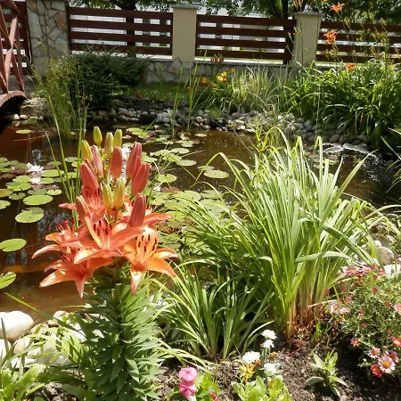 Guest house Veronika 2*